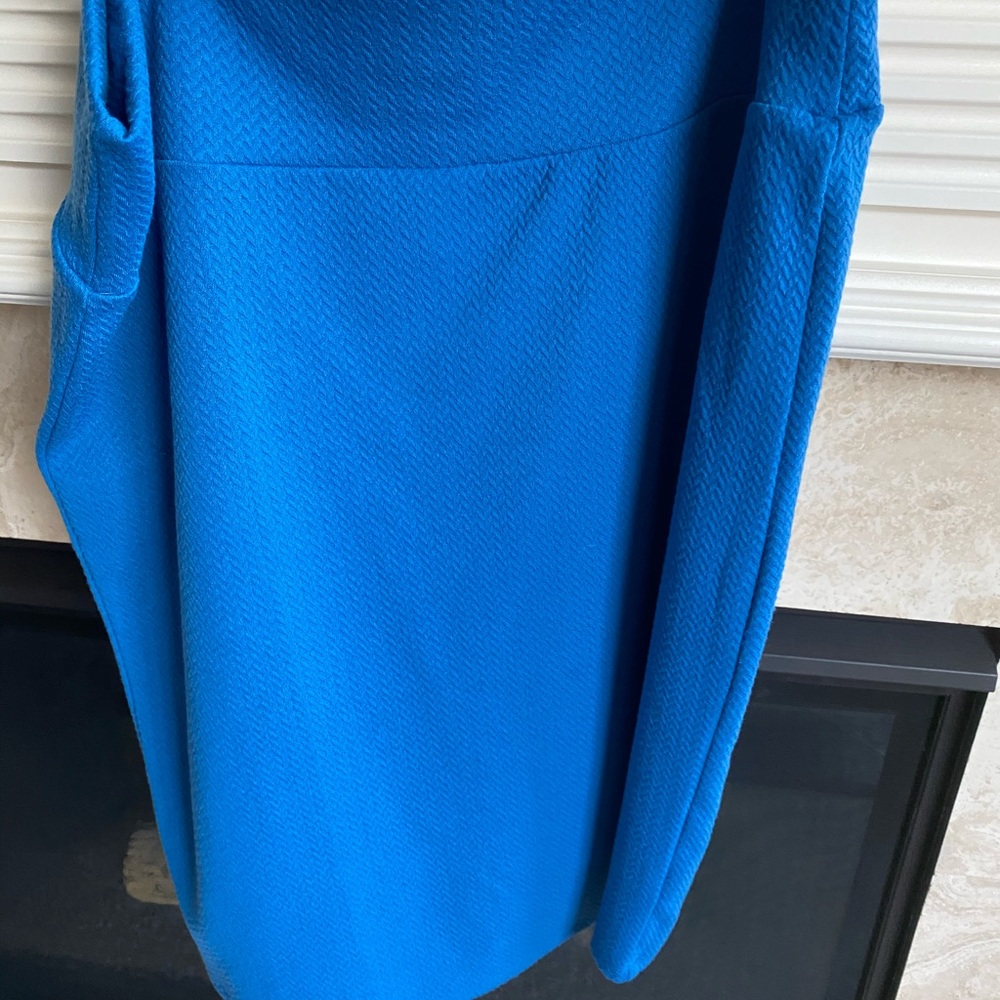 LulaRoe pencil skirt